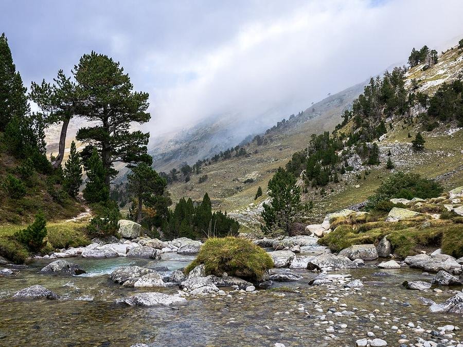 Llano de Aigualluts con río y pinos a los pies del Aneto