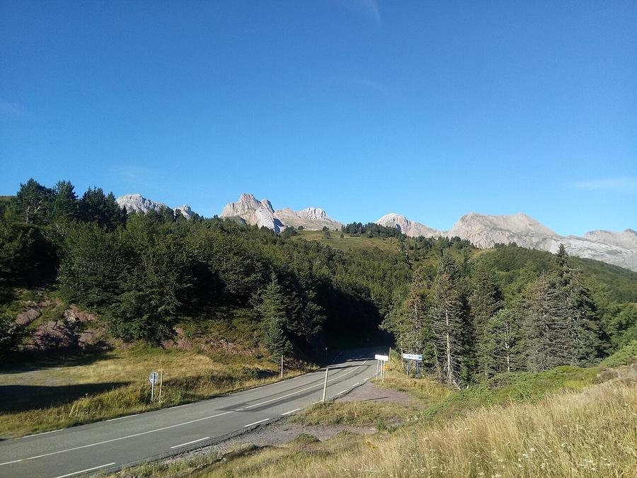 Paisaje del puerto de Somport con carretera de montaña y pinares