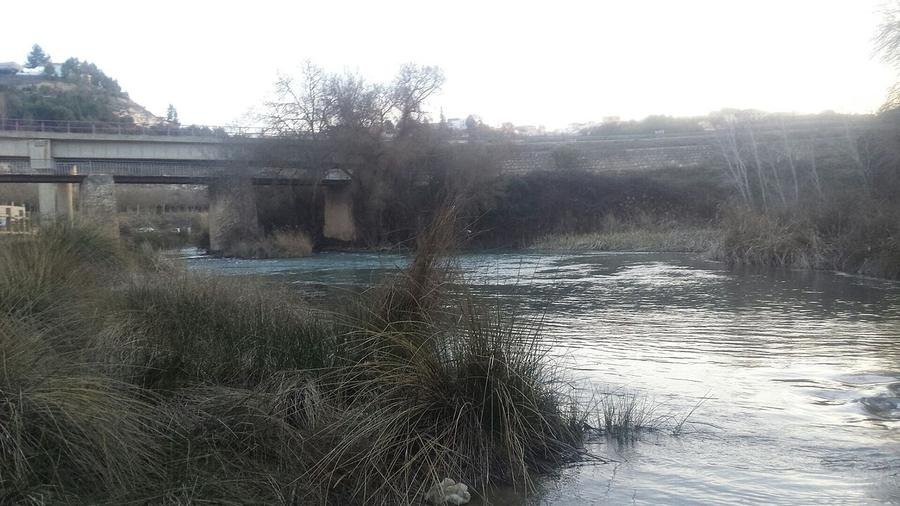 Río Júcar con ribera arbolada a su paso por Valdeganga